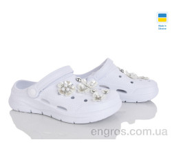 Кроксы Golden Lion